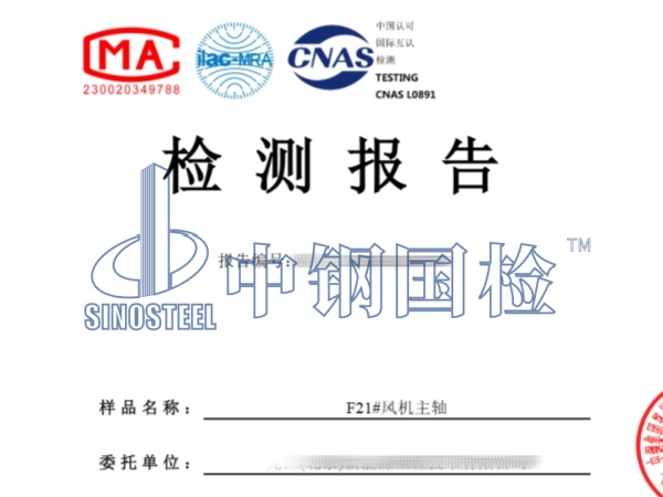 相控阵超声检测报告_副本