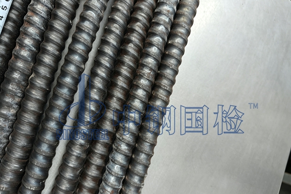 1锚杆 (41)