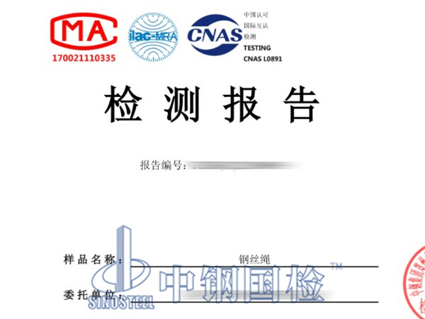 钢丝绳检测报告